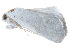  ( - BIOUG21703-H04)  @13 [ ] CreativeCommons - Attribution (2015) CBG Photography Group Centre for Biodiversity Genomics