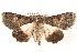  ( - BIOUG26825-A02)  @14 [ ] CreativeCommons - Attribution (2016) CBG Photography Group Centre for Biodiversity Genomics