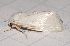  ( - BIOUG26825-E12)  @13 [ ] CreativeCommons - Attribution (2016) CBG Photography Group Centre for Biodiversity Genomics