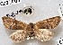  ( - CCDB-34761-C03)  @13 [ ] CreativeCommons - Attribution Non-Commercial Share-Alike (2012) Bold Photography Group Centre for Biodiversity Genomics