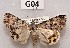  ( - CCDB-34609 G04)  @14 [ ] CreativeCommons - Attribution Non-Commercial Share-Alike (2012) Bold Photography Group Centre for Biodiversity Genomics