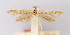  ( - CNCLEP00000533)  @11 [ ] CreativeCommons - Attribution Non-Commercial Share-Alike (2007) Unspecified Canadian National Collection