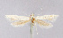  ( - CNCLEP00001025)  @11 [ ] CreativeCommons - Attribution Non-Commercial Share-Alike (2007) Unspecified Canadian National Collection