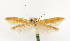  ( - CNCLEP00031139)  @11 [ ] CreativeCommons - Attribution Non-Commercial Share-Alike (2007) Unspecified Canadian National Collection