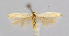 ( - CNCLEP00031148)  @11 [ ] CreativeCommons - Attribution Non-Commercial Share-Alike (2007) Unspecified Canadian National Collection