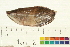  ( - OL-0063)  @13 [ ] CreativeCommons - Attribution (2009) Unspecified Centre for Biodiversity Genomics