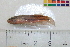  ( - OL-0005)  @11 [ ] CreativeCommons - Attribution (2010) Unspecified Centre for Biodiversity Genomics