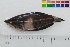  ( - OL-0065)  @12 [ ] CreativeCommons - Attribution (2010) Unspecified Centre for Biodiversity Genomics