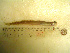  ( - 04HBL008059)  @13 [ ] CreativeCommons - Attribution (2007) Unspecified Centre for Biodiversity Genomics