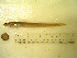  ( - 04HBL008060)  @13 [ ] CreativeCommons - Attribution (2007) Unspecified Centre for Biodiversity Genomics