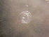  ( - CCDB-13981_F10)  @13 [ ] Copyright (2013) Allan D. Connell Unspecified