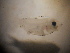  ( - CCDB-17645_B09)  @11 [ ] Copyright (2013) Allan D. Connell Unspecified