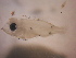  ( - CCDB-17645_C06)  @11 [ ] Copyright (2013) Allan D. Connell Unspecified
