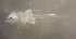  ( - CCDB-19034_A06)  @11 [ ] Copyright (2013) Allan D. Connell Unspecified