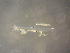  ( - CCDB-19034_A09)  @12 [ ] Copyright (2013) Allan D. Connell Unspecified