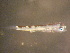  ( - CCDB-19034_A09)  @12 [ ] Copyright (2013) Allan D. Connell Unspecified