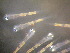  ( - CCDB-19034_C04)  @12 [ ] Copyright (2013) Allan D. Connell Unspecified