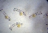  ( - CCDB-19034_D09)  @13 [ ] Copyright (2013) Allan D. Connell Unspecified