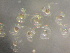  ( - CCDB-19034_H10)  @13 [ ] Copyright (2013) Allan D. Connell Unspecified