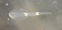  ( - CCDB-19035_A06)  @12 [ ] Copyright (2013) Allan D. Connell Unspecified