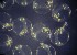  ( - CCDB-19035_D09)  @12 [ ] Copyright (2013) Allan D. Connell Unspecified