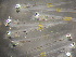  ( - CCDB-19035_D10)  @13 [ ] Copyright (2013) Allan D. Connell Unspecified
