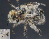  ( - UAIC1138803)  @11 [ ] by (2023) Glenn Seplak Arizona-Sonora Desert Museum