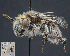  ( - UAIC1138803)  @11 [ ] by (2023) Glenn Seplak Arizona-Sonora Desert Museum