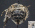  ( - UAIC1138803)  @11 [ ] by (2023) Glenn Seplak Arizona-Sonora Desert Museum