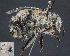  ( - UAIC1138803)  @11 [ ] by (2023) Glenn Seplak Arizona-Sonora Desert Museum