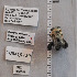  ( - UAIC1138881)  @11 [ ] by (2023) Glenn Seplak Arizona-Sonora Desert Museum