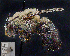  ( - UAIC1138881)  @11 [ ] by (2023) Glenn Seplak Arizona-Sonora Desert Museum