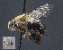  ( - UAIC1138880)  @11 [ ] by (2023) Glenn Seplak Arizona-Sonora Desert Museum