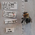  ( - UAIC1138882)  @11 [ ] by (2023) Glenn Seplak Arizona-Sonora Desert Museum