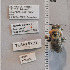  ( - UAIC1138802)  @11 [ ] by (2023) Glenn Seplak Arizona-Sonora Desert Museum