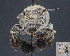  ( - UAIC1138802)  @11 [ ] by (2023) Glenn Seplak Arizona-Sonora Desert Museum