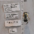  ( - UAIC1138879)  @11 [ ] by (2023) Glenn Seplak Arizona-Sonora Desert Museum