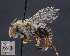  ( - UAIC1138879)  @11 [ ] by (2023) Glenn Seplak Arizona-Sonora Desert Museum
