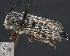  ( - UAIC1138837)  @11 [ ] by (2023) Glenn Seplak Arizona-Sonora Desert Museum
