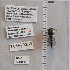  ( - UAIC1138837)  @11 [ ] by (2023) Glenn Seplak Arizona-Sonora Desert Museum