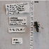  ( - UAIC1138833)  @11 [ ] by (2023) Glenn Seplak Arizona-Sonora Desert Museum