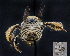  ( - UAIC1138896)  @11 [ ] by (2023) Glenn Seplak Arizona-Sonora Desert Museum