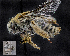  ( - UAIC1138896)  @11 [ ] by (2023) Glenn Seplak Arizona-Sonora Desert Museum