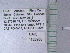  (Monomorium sp. 2KF - UAIC1128960)  @11 [ ] by (2021) Wendy Moore University of Arizona Insect Collection
