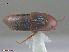 ( - UAM:Ento:79469)  @11 [ ] CreativeCommons  Attribution Non-Commercial No Derivatives (2016) Derek Sikes University of Alaska Museum