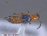  ( - UAM:Ento:79883)  @13 [ ] CreativeCommons - Attribution Non-Commercial No Derivatives (2015) Derek Sikes University of Alaska Museum