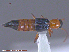  ( - UAM:Ento:79335)  @13 [ ] CreativeCommons - Attribution Non-Commercial No Derivatives (2015) Derek Sikes University of Alaska Museum
