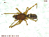  ( - UAM:Ento:98934)  @12 [ ] CreativeCommons - Attribution Non-Commercial No Derivatives (2013) Derek Sikes University of Alaska Museum