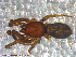  ( - UAM:Ento:120831)  @13 [ ] CreativeCommons - Attribution Non-Commercial No Derivatives (2013) Derek Sikes University of Alaska Museum
