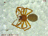  ( - UAM:Ento:112702)  @13 [ ] CreativeCommons - Attribution Non-Commercial No Derivatives (2013) Derek Sikes University of Alaska Museum